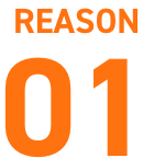 REASON 01